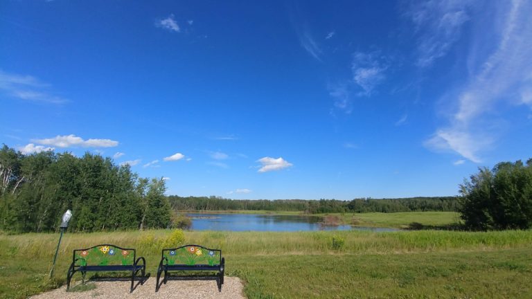 Blue Bird RV Park 3 768x432