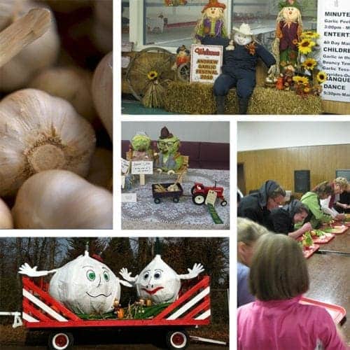 Andrew Garlic Festival Go East of Edmonton
