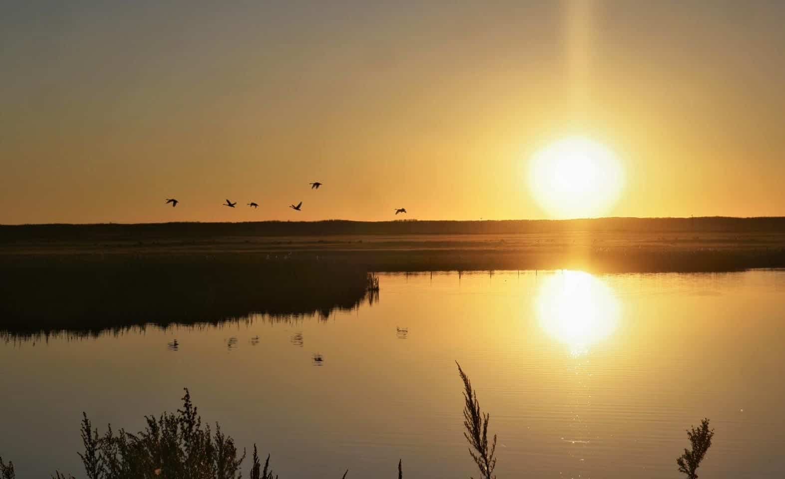 Featured image for “Top Things To Do In Lamont County”