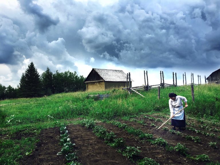 UkrainianVillage  Later Immigrant Farmstead garden 768x576