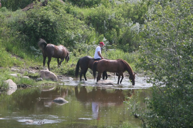 Lea Park Vermilion River 768x512