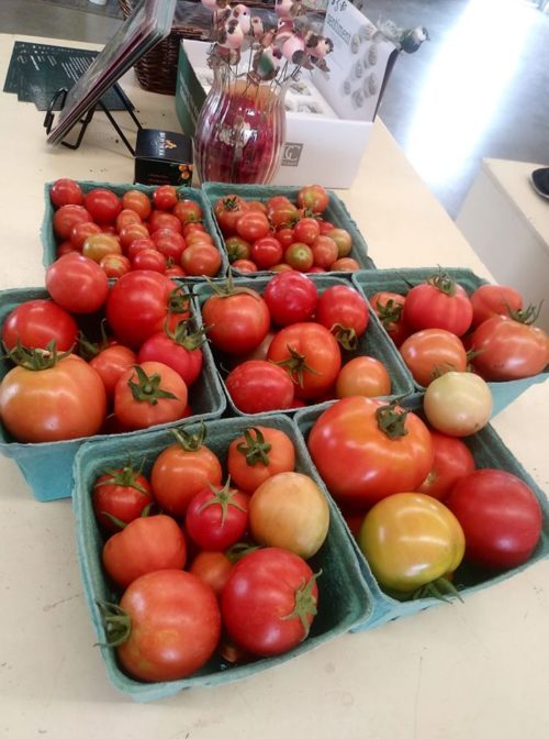 Kathy's Greenhouse Go East of Edmonton