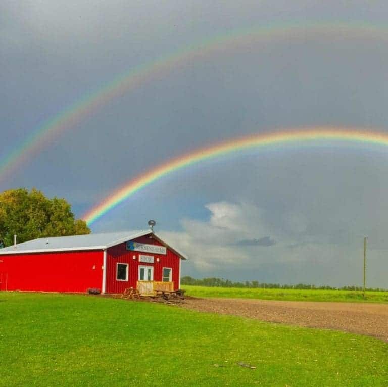 Serben Farms 768x766