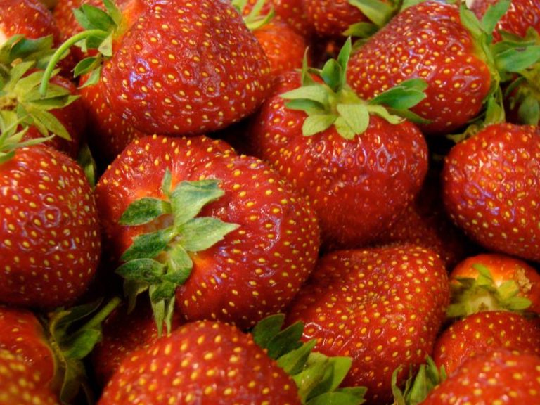 Boyle Market 2 768x576