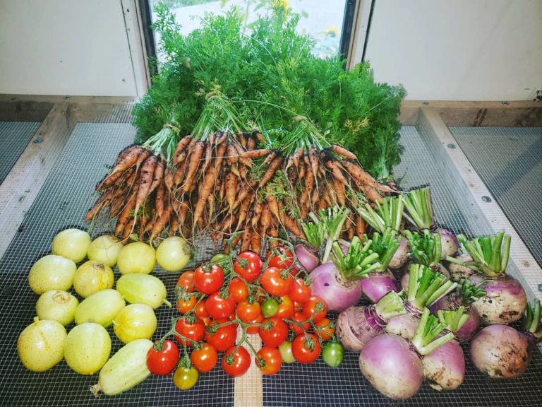 Pitchfork Gardens 1 768x576