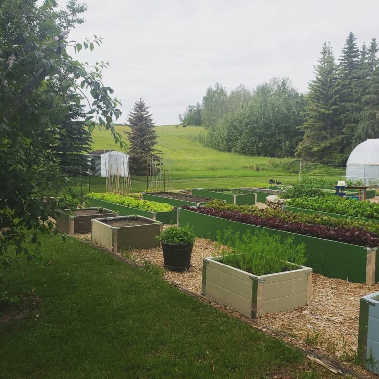 Pitchfork Gardens 2 768x768