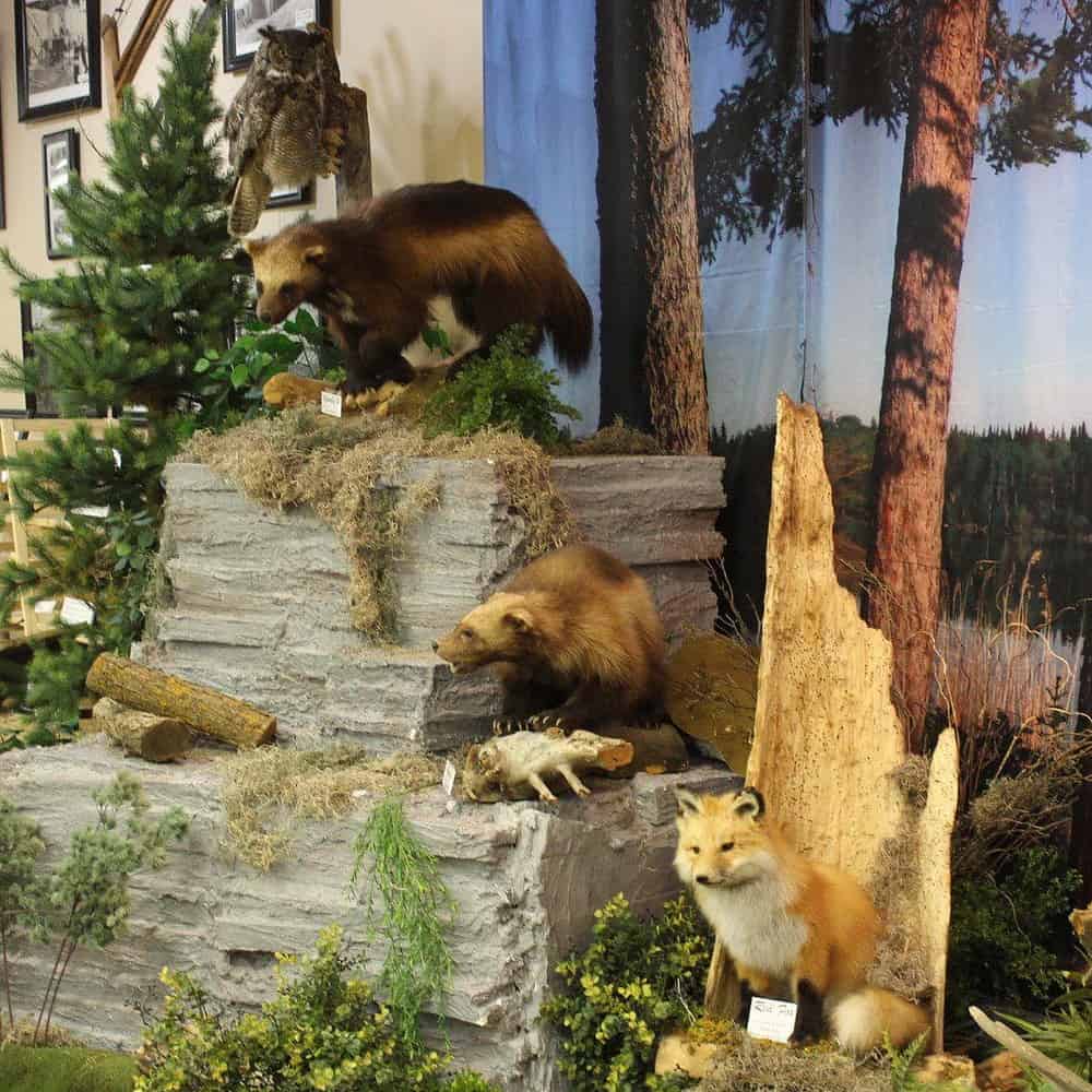 Top 25 Things to Do in the Lac La Biche Region Go East of Edmonton