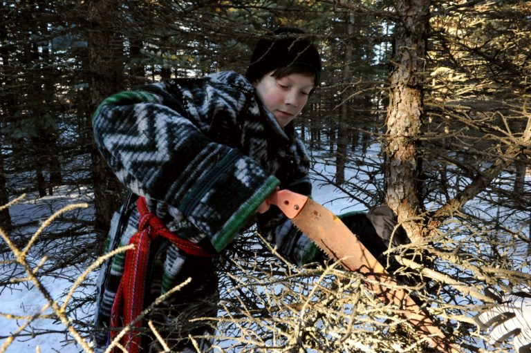 Metis Crossing 4 768x511