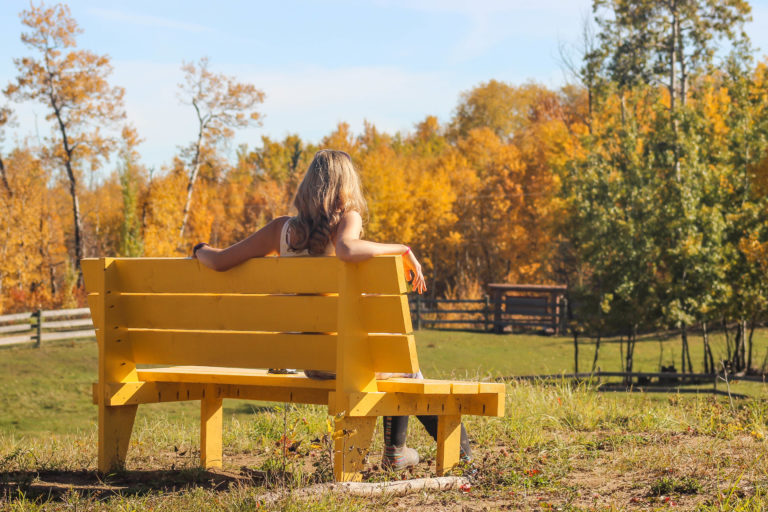 Dreamcatcher Ranch 4 768x512