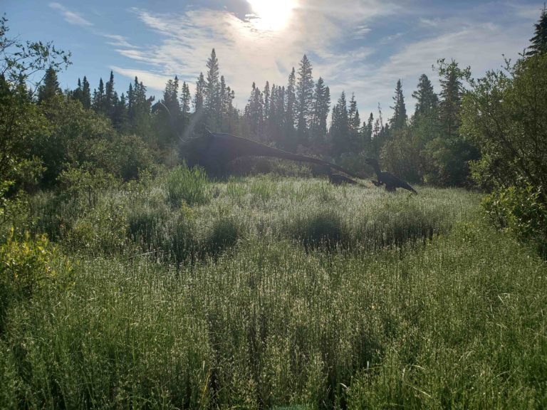 Jurassic Forest 2 768x576