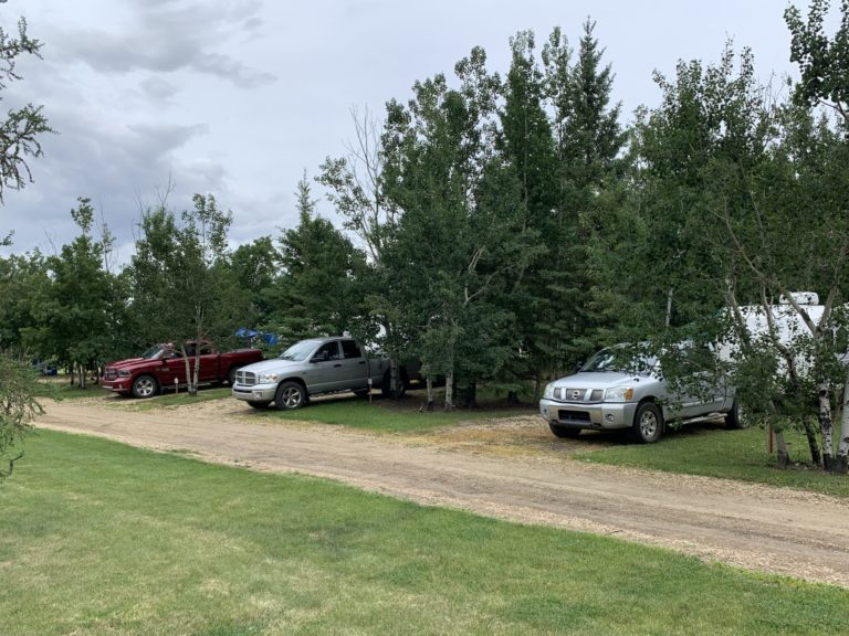 Cherry Lane BB 1 768x576