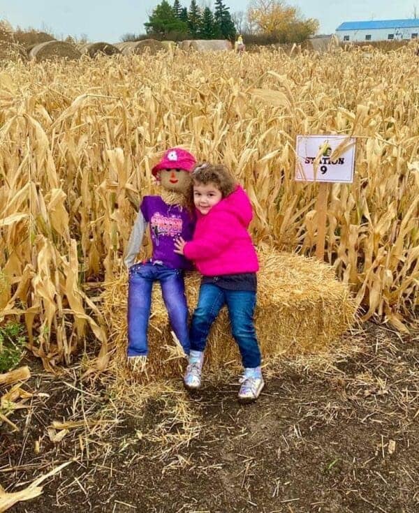 Road Trip Corn Mazes To Visit Within Hours Of Edmonton This Fall Hot Sex Picture 