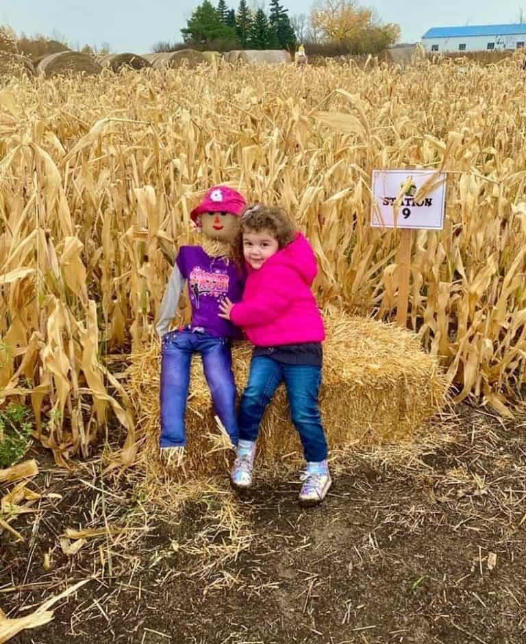 Amazing Corn Mazes East of Edmonton! Go East of Edmonton