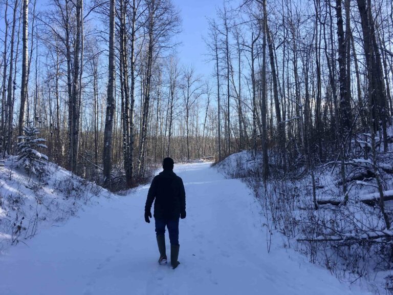 Muskeg Creek Trail Winter Walk 1 768x576