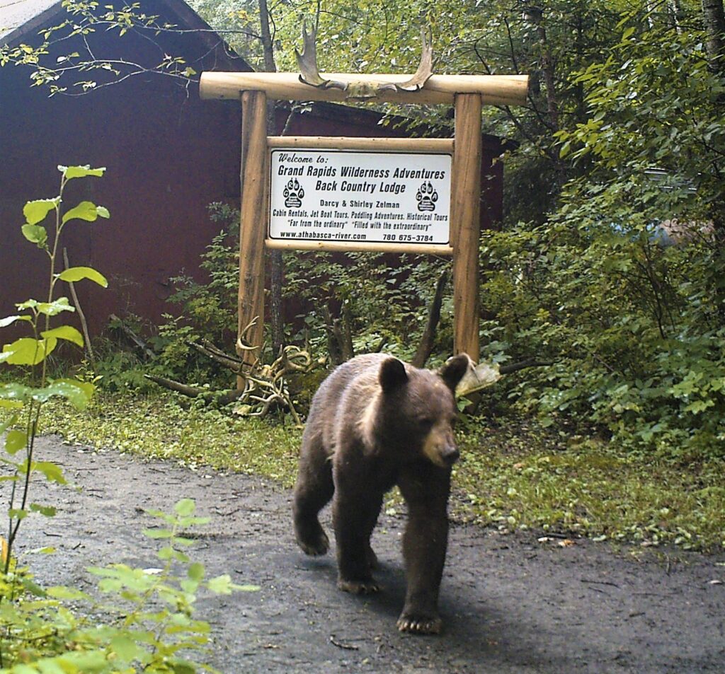 Grand Rapids Wilderness Adventure | Go East Of Edmonton