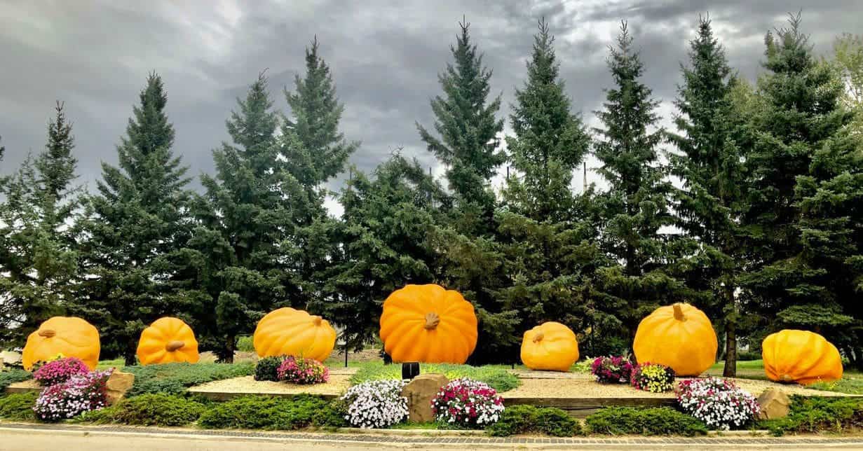 Your Guide to the Smoky Lake Pumpkin Fair and Things to Do in the Smoky Lake  Region | Go East of Edmonton