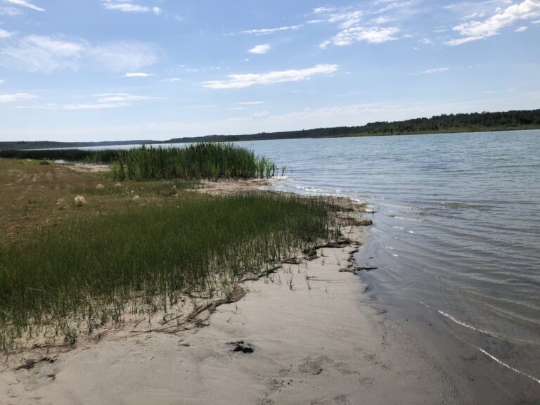 Chickenhill Lake 4 768x576