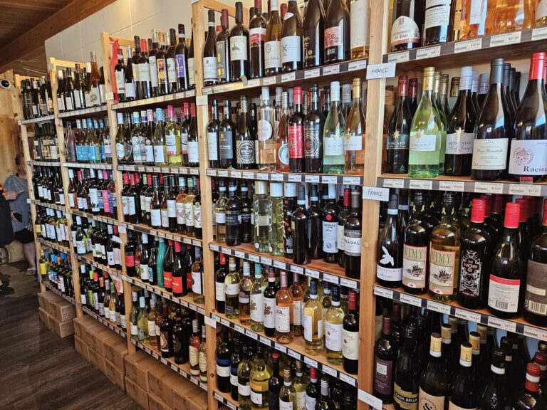 387214972 841625124505069 5191569054783473725 n 768x576