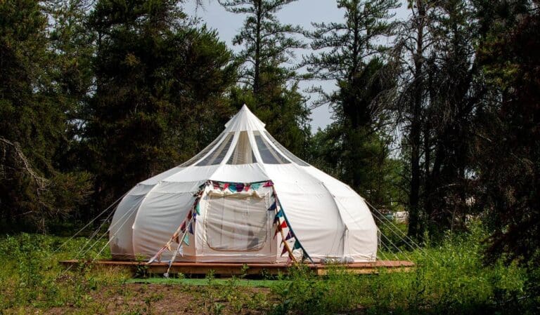 Mystic Mana 7 768x449