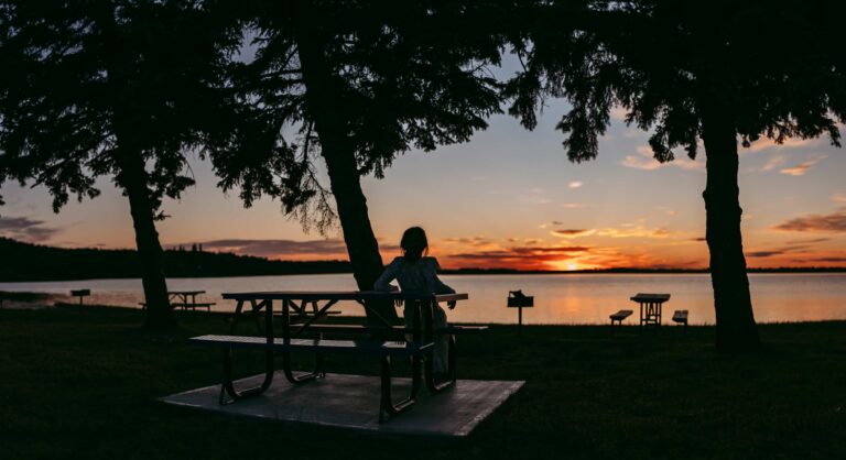 Wapasu Park 3 768x418