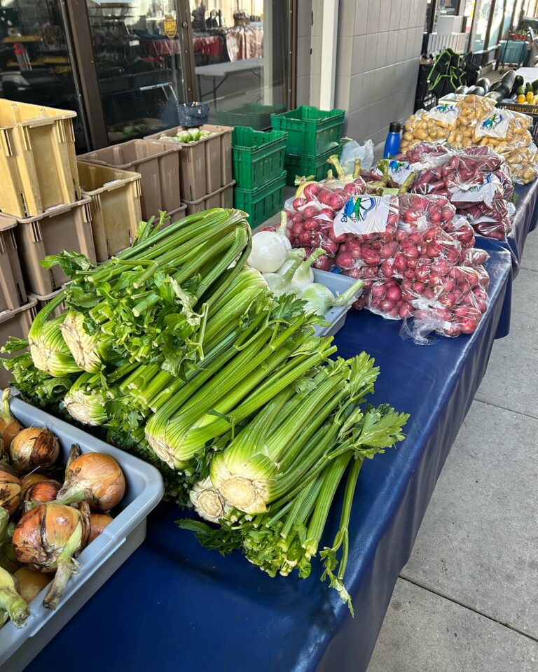 Erdmanns Gardens Greenhouses 2 768x960