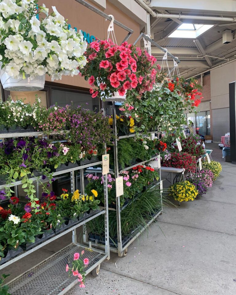 Erdmanns Gardens Greenhouses 3 768x960