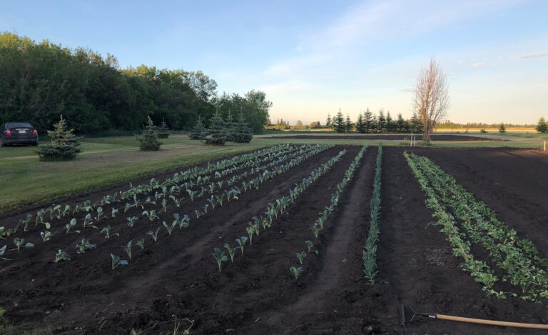 Maple Park Farms 1 1 768x469