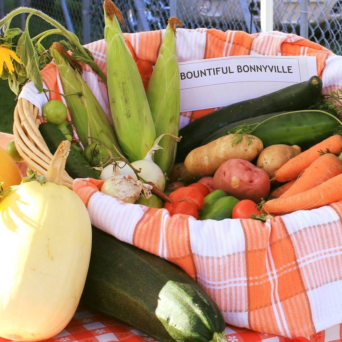 Featured Image for “Bonnyville Farmers Market”