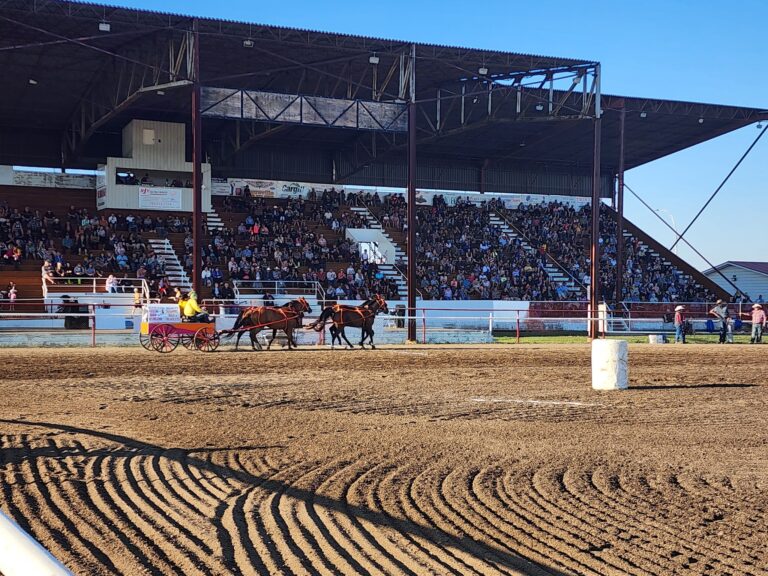 Vegreville Country Fair 3 1 768x576