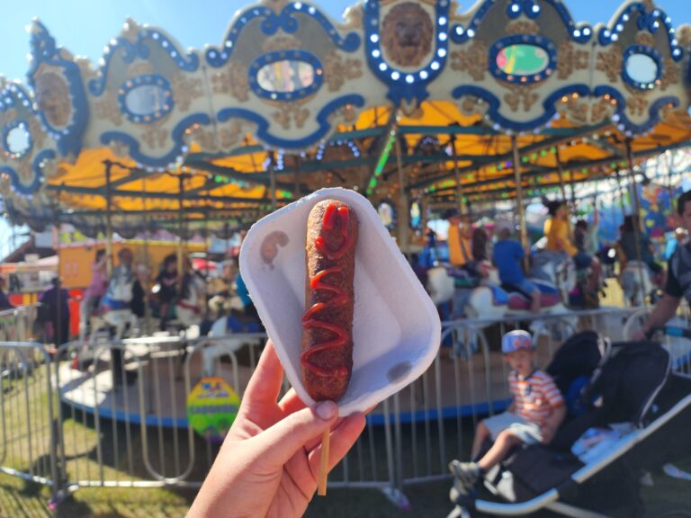 Vegreville Country Fair 4 2 768x576