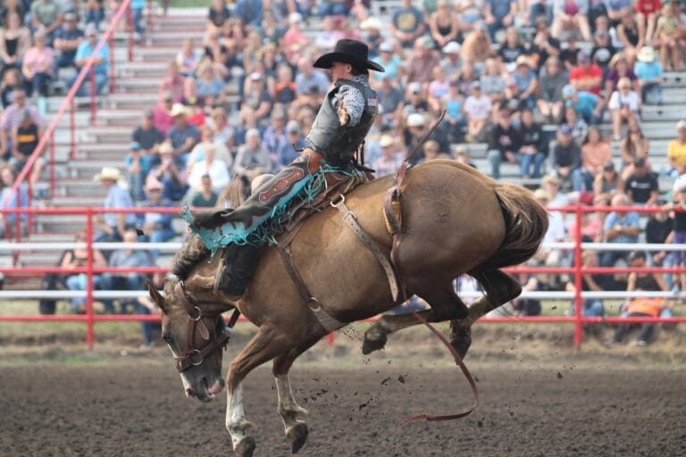 Hardisty Rodeo 768x512