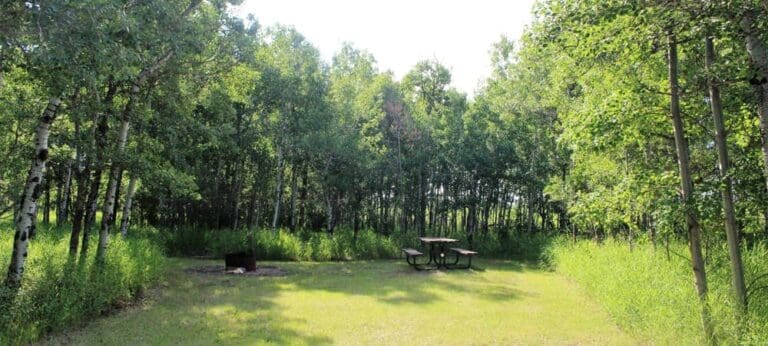 edgerton day campground 768x346