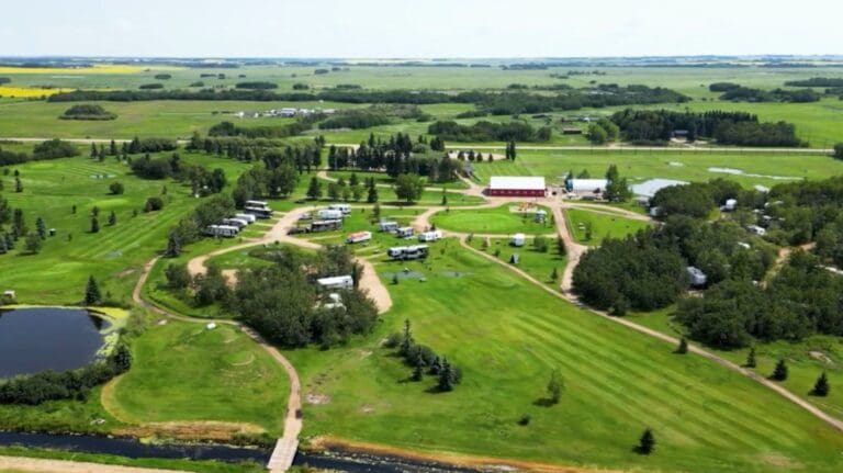 Whistle Stop 10 768x431