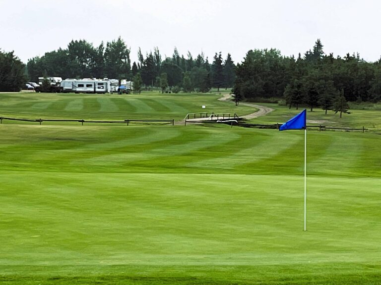 Whistle Stop 2 768x576