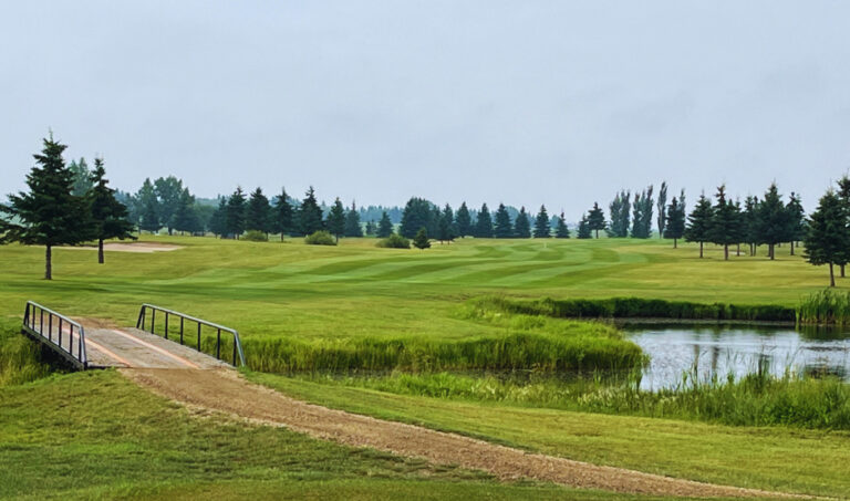 Whistle Stop 5 768x453