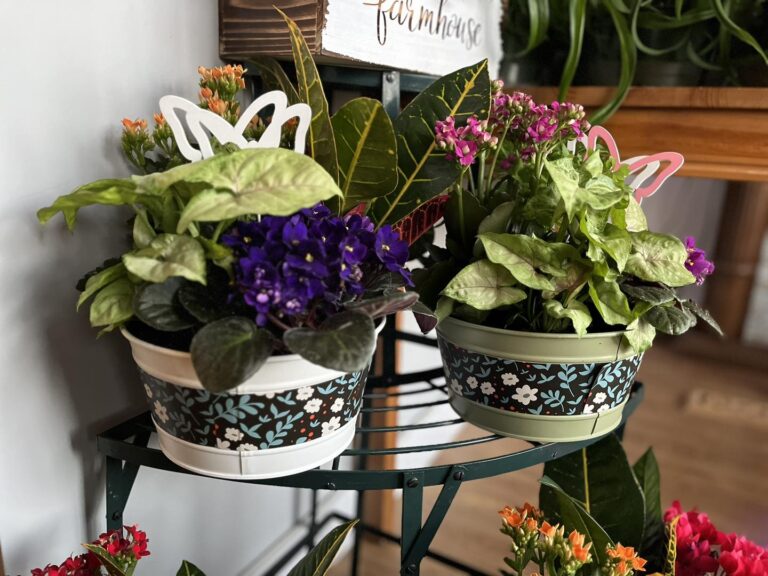 Budding Ideas 2 768x576