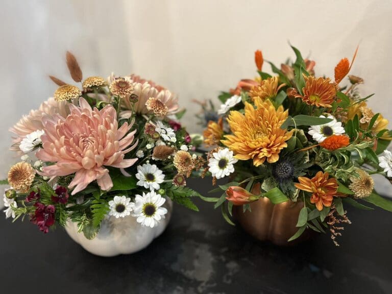 Budding Ideas 768x576