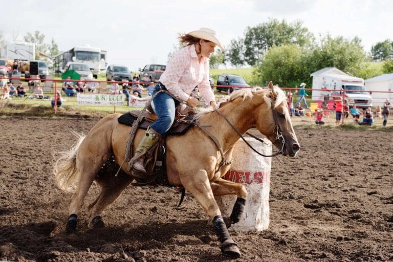 Hairy Hill Rodeo 1 768x512