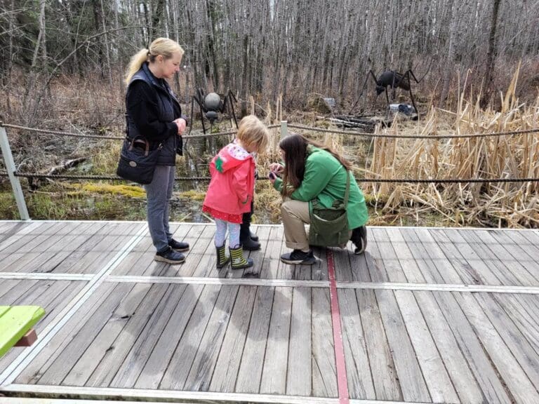 Jurassic Forest 1 768x576