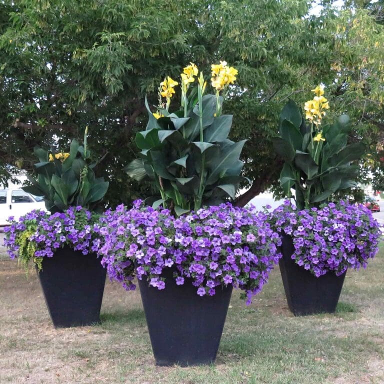 Spade to Spoon flowers 2 768x768