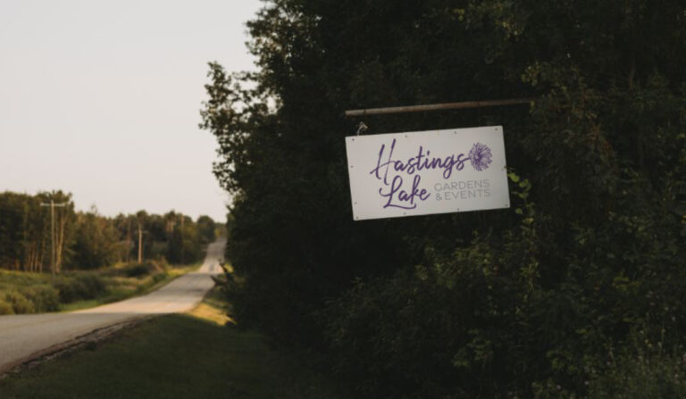 Hastings Lake Gardens 3 3 768x447