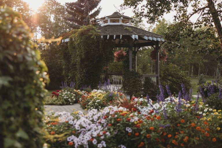 Hastings Lake Gardens 4 768x512