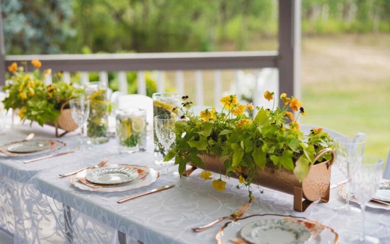 Hastings Lake Gardens 768x480