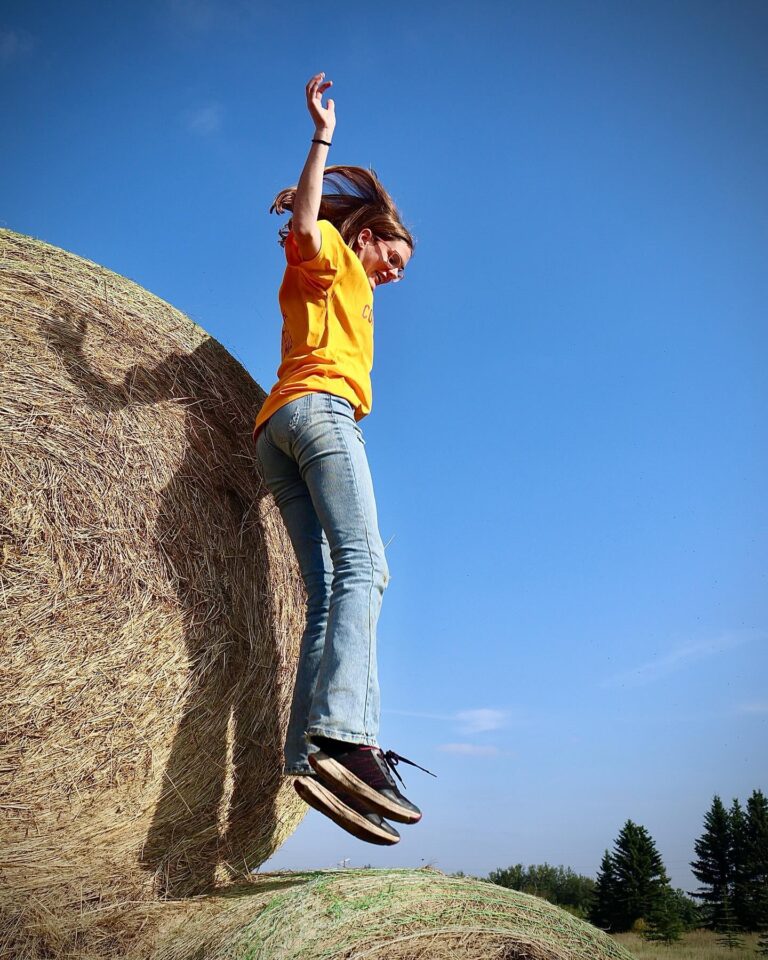 Maizex Corn Maze 3 768x960