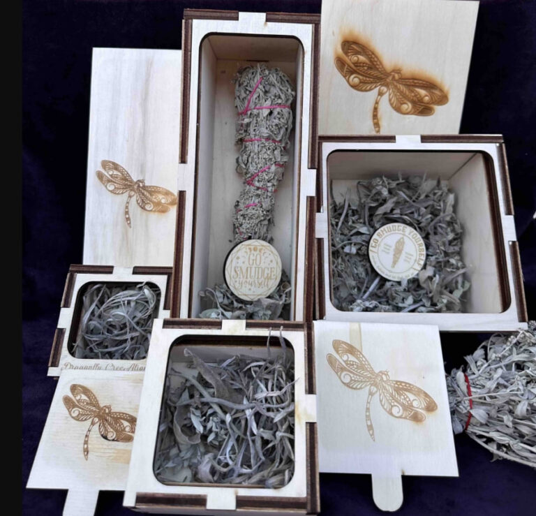 Dragonfly Spirit Creeations 2 1 768x739