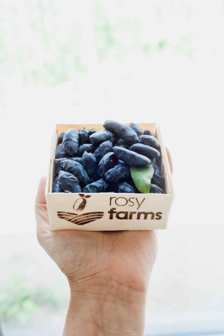 Rosy Farms 1 768x1152