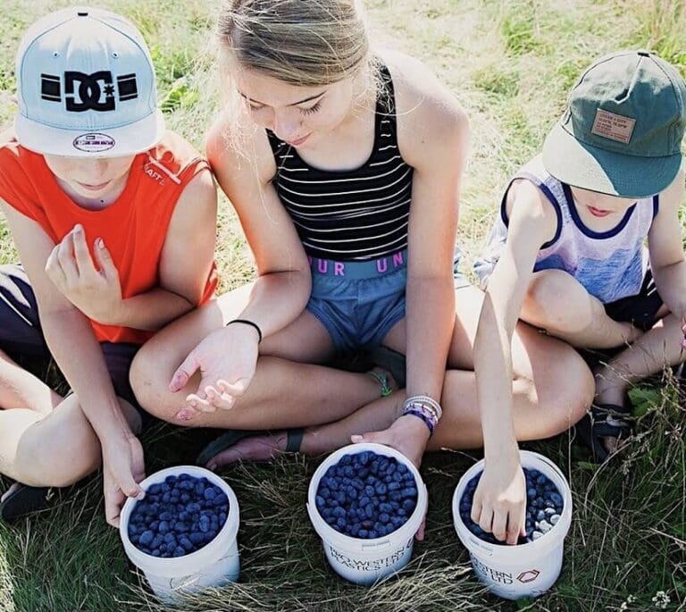 Rosy Farms 4 1 768x685