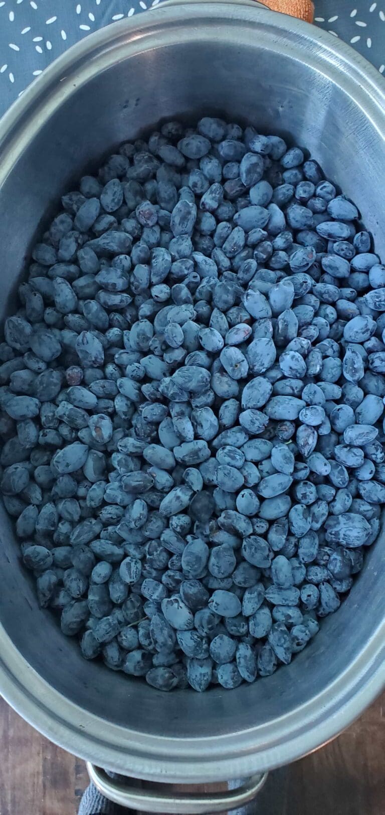 Tasty Berry 3 768x1623