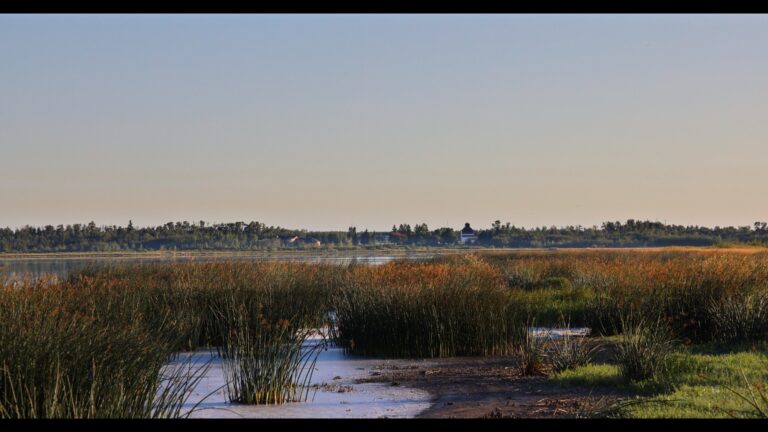 Beaver Hills Biosphere 3 1 768x432