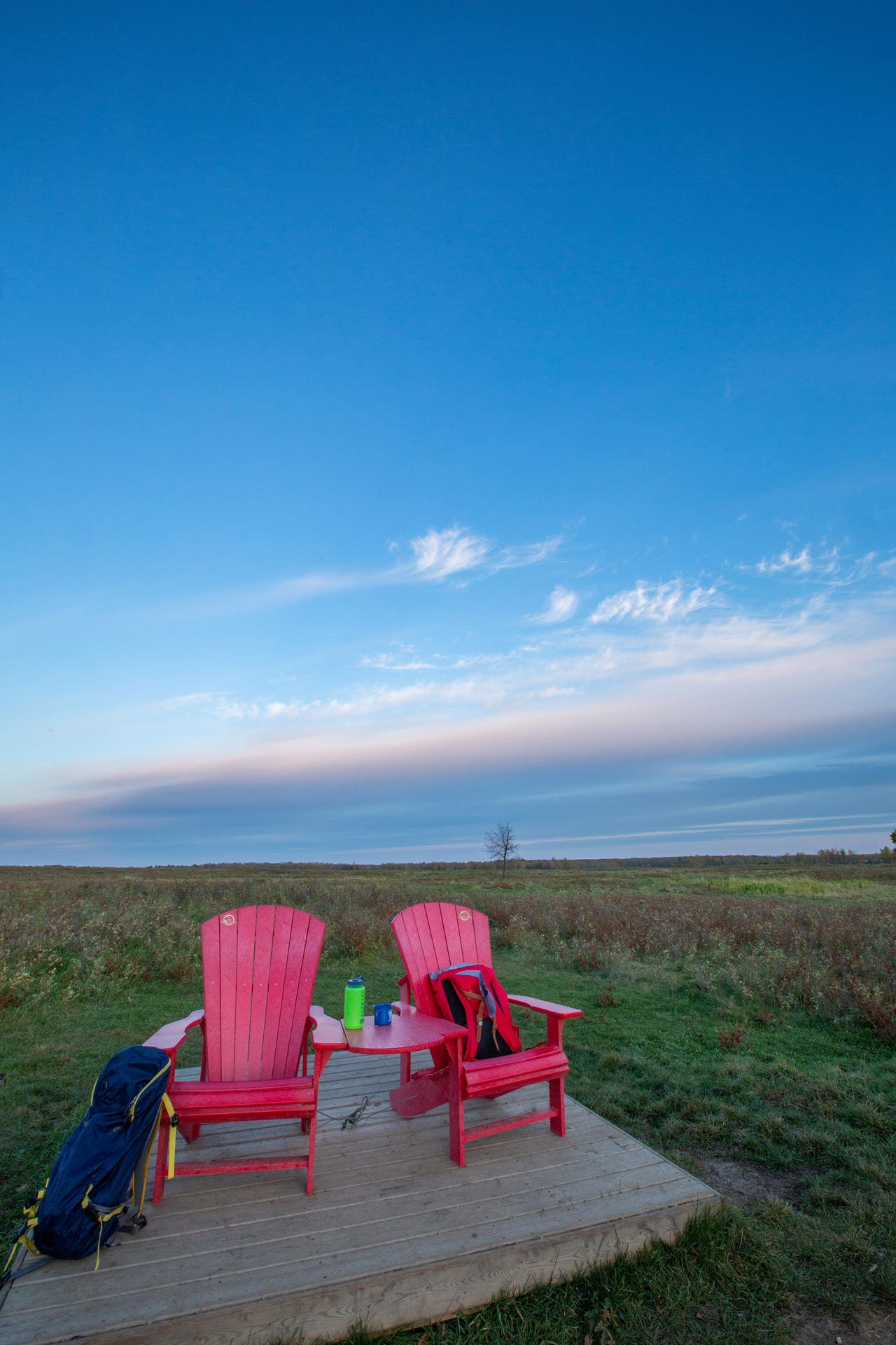 Featured Image for “Top 7 Things to Consider When Planning Your Visit To Elk Island National Park”